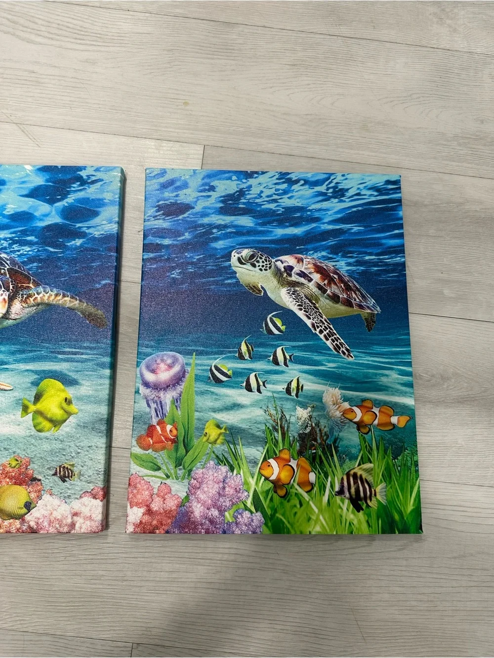 N/A vibrant underwater